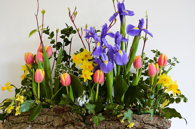Free photo: Bouquet, B...