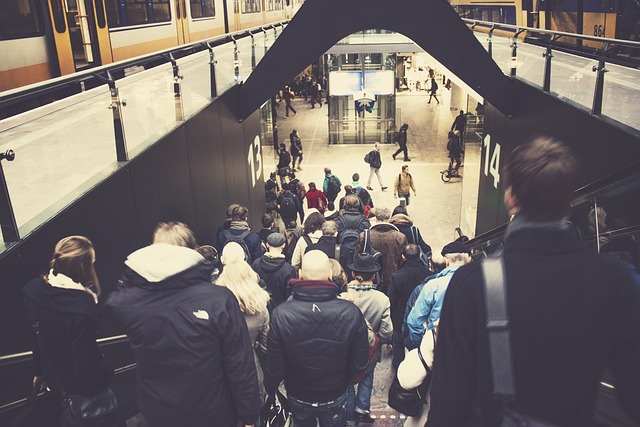 Free Public Transport photo and picture