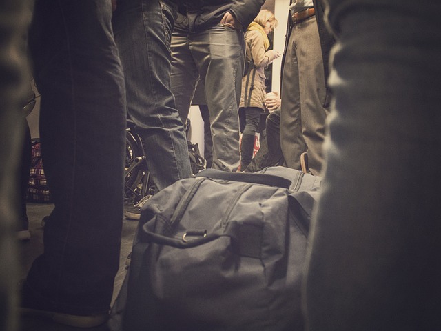 Free Public Transport photo and picture