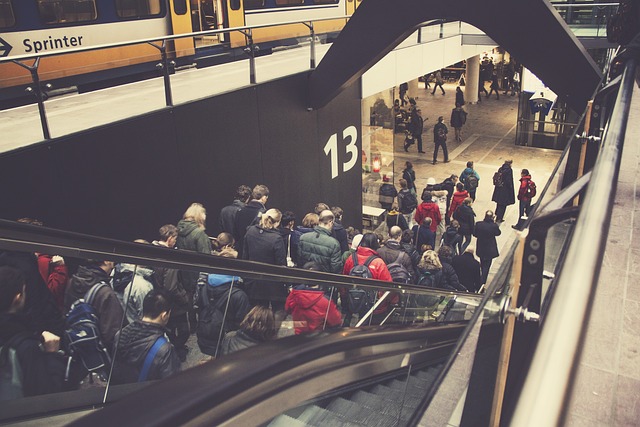 Free Public Transport photo and picture