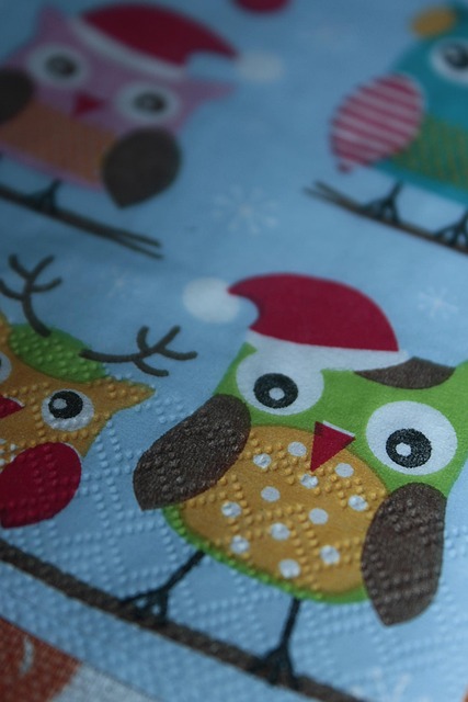 Free Owls Owl photo and picture