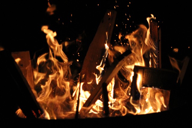 Free Fire Hot photo and picture