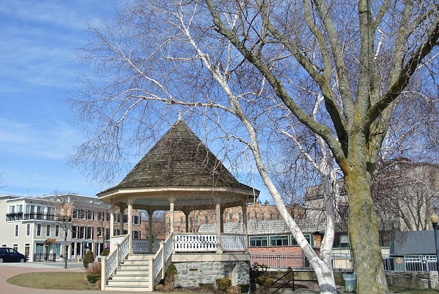 Free Skaneateles Skaneateles Lake photo and picture