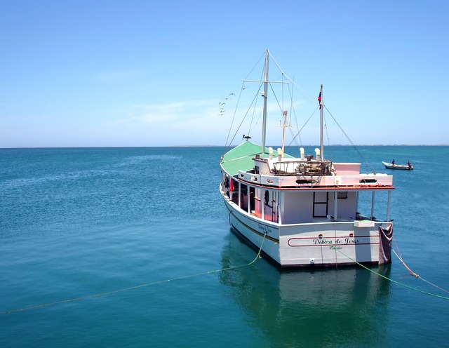 Free Sea Darling photo and picture