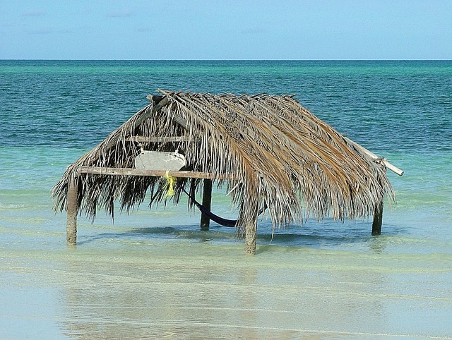 Free Sea Beach photo and picture