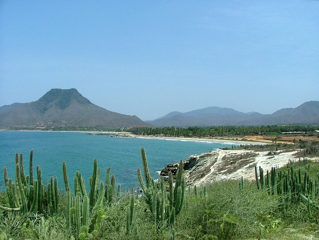 Free Daisy Island photo and picture