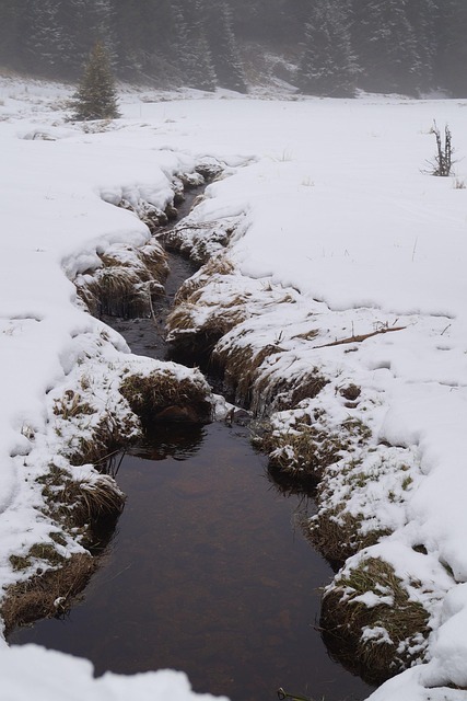 Winter Snow Stream - Free photo on Pixabay