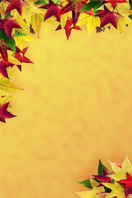Free stationery norway maple multicoloured illustration