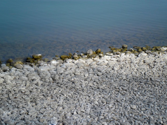 Free Lake Beach photo and picture