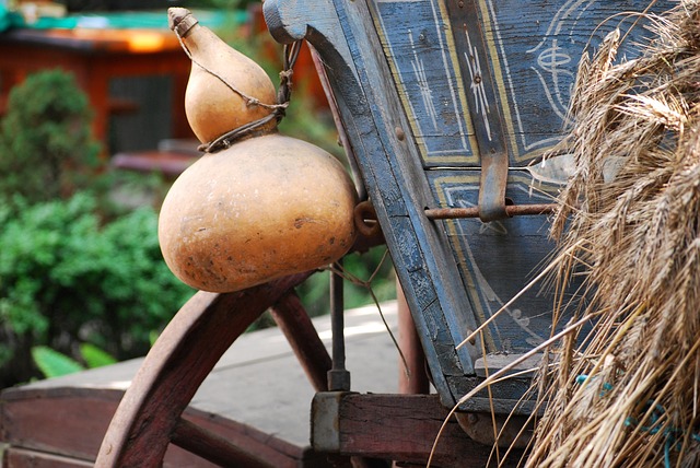 Free Cart Gourd photo and picture