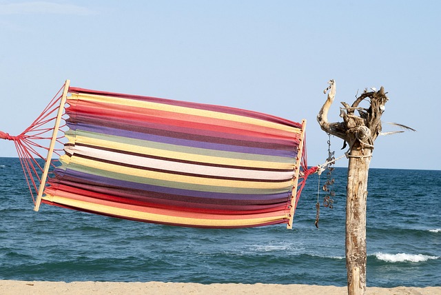 Free Hammock Colorful photo and picture