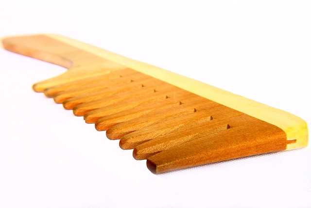 Free Comb Wooden Comb photo and picture