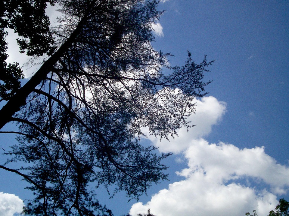 100 Gambar Awan Dan Pohon Paling Keren 100 Gambar Awan Dan Pohon Paling Keren