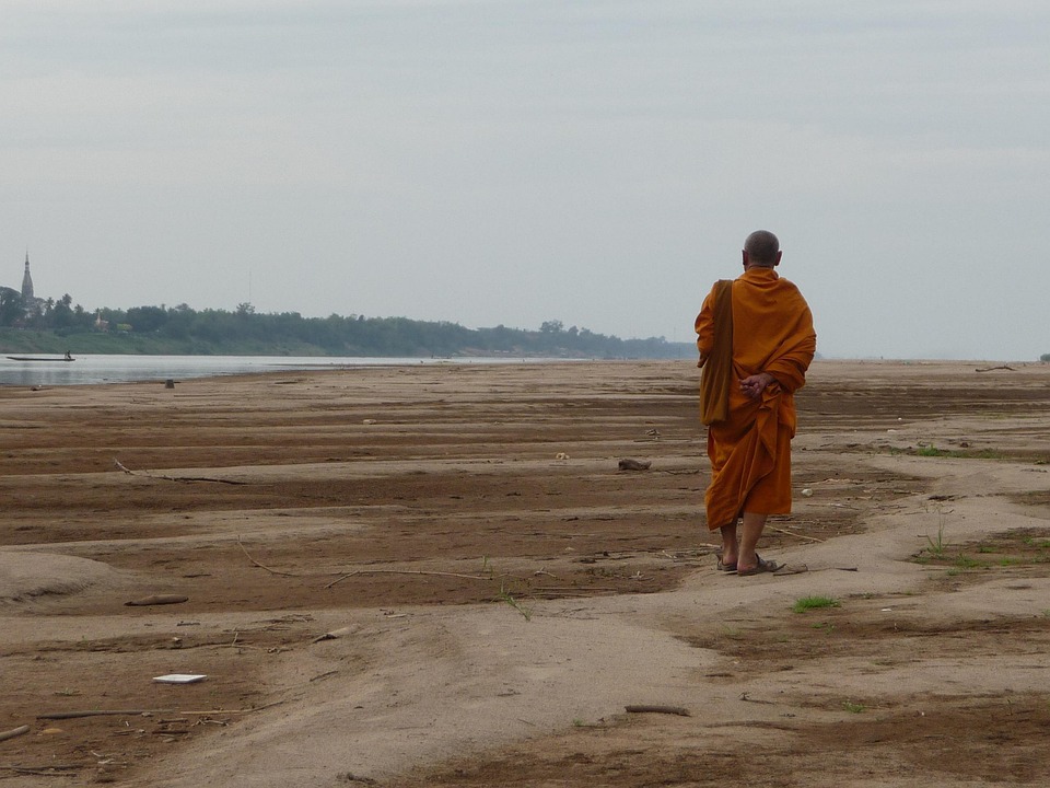 Tu Sĩ, Đạo Phật, Tôn Giáo, Thiền, Phật Thủ, Brown Thiền