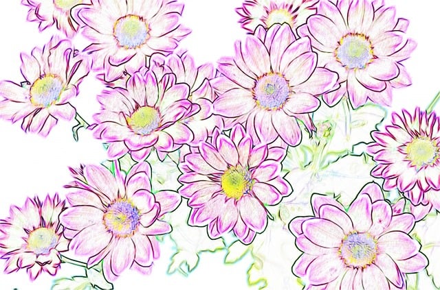 Free background flower floral background illustration