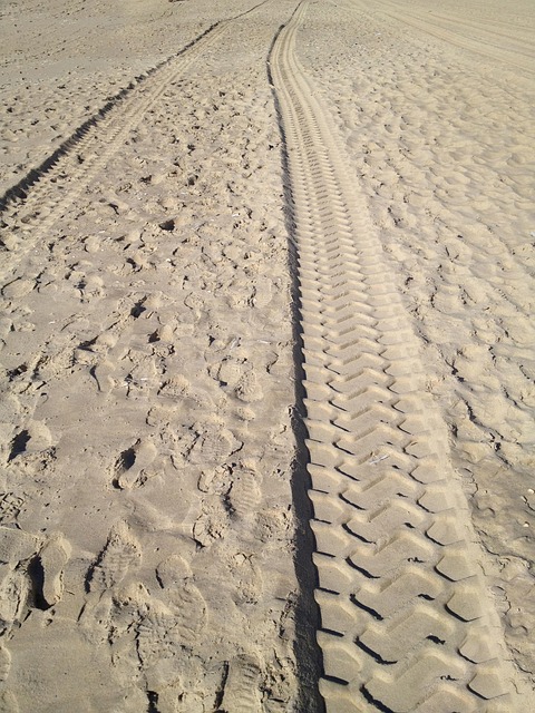 Free Sand Sense photo and picture