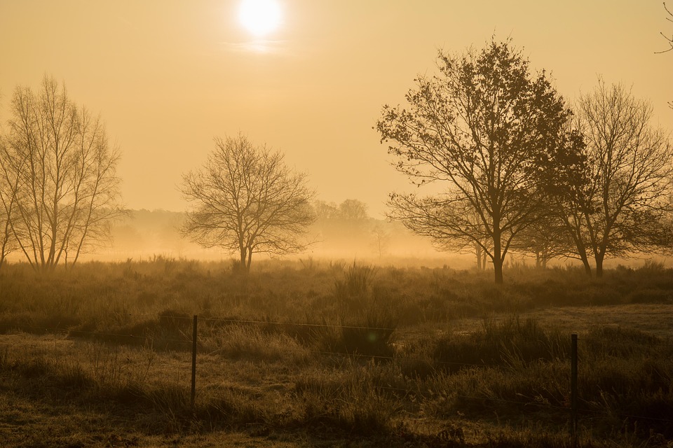 Morgenstimmung, Heide, Wahner Pagan, Sunrise, Hazy