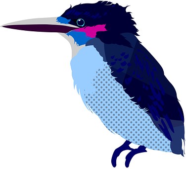 Martín Pescador, Nuevo, Naturaleza, Aves