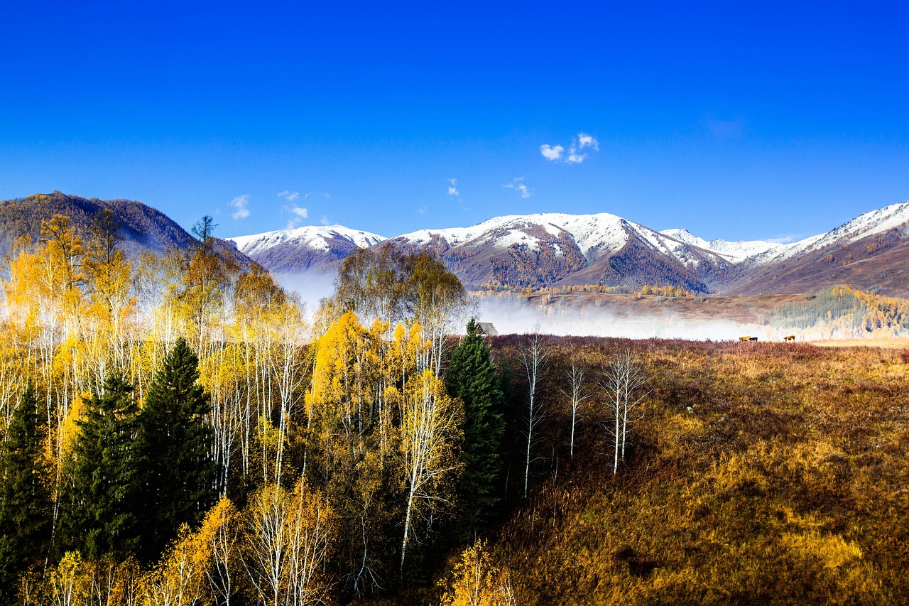 China - free online jigsaw puzzle photo