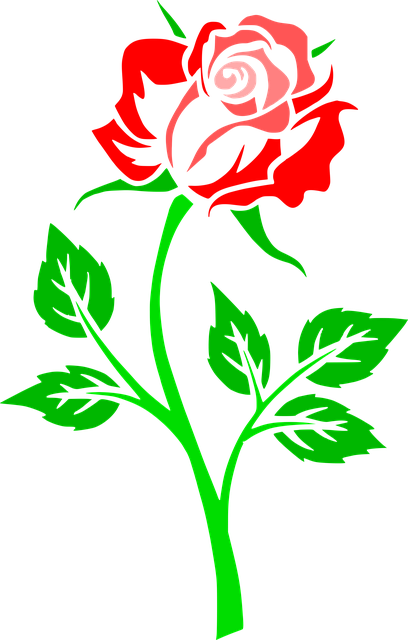 Download free HD stock image of Flower Nature Free flower nature rose illustration