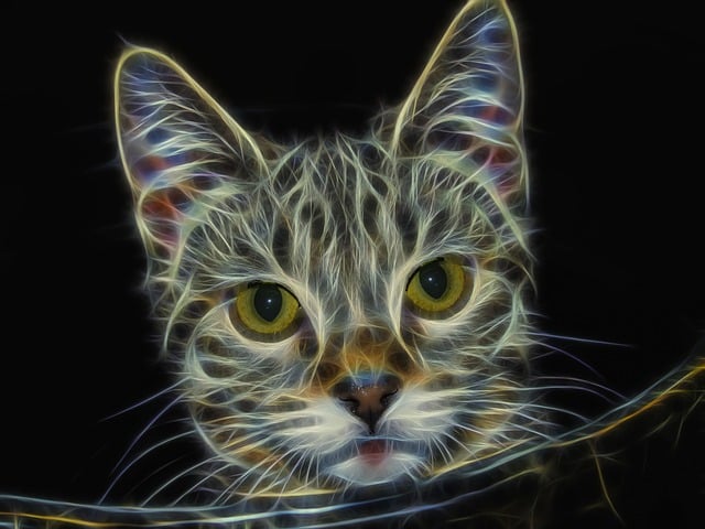 Free fractal cat feline illustration