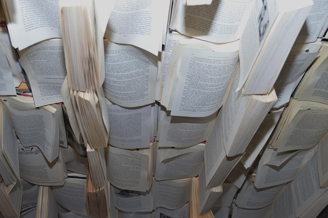 Free Books Ceiling photo and picture