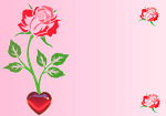 flower, rose, heart