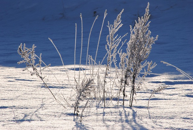 Schnee, Cool, Natur, Winter