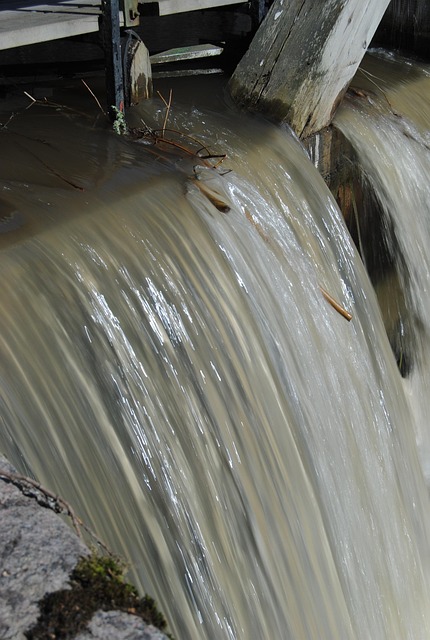 Wasser, Nass, Kanal, Moos