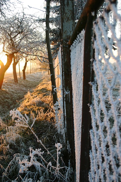 Free Fence Snow photo and picture
