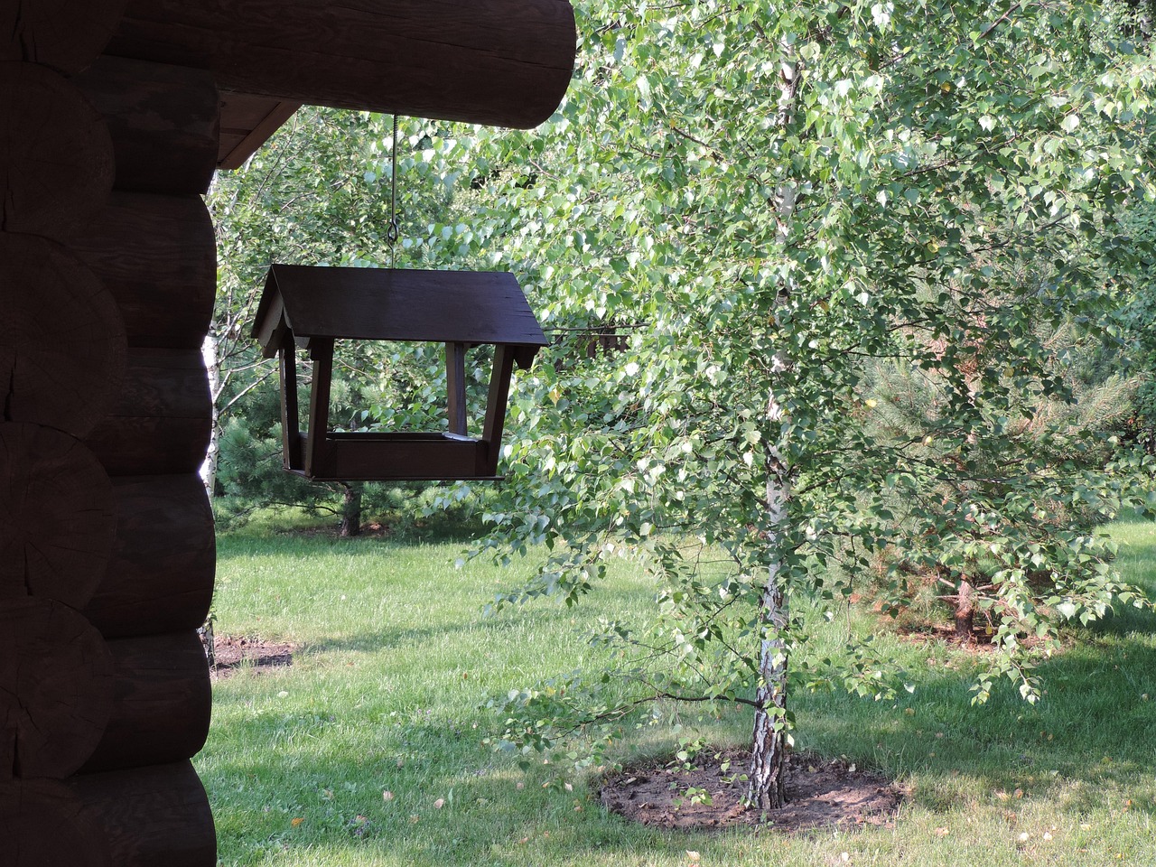 Cabane D'Oiseaux Maison De - Photo gratuite sur Pixabay - Pixabay