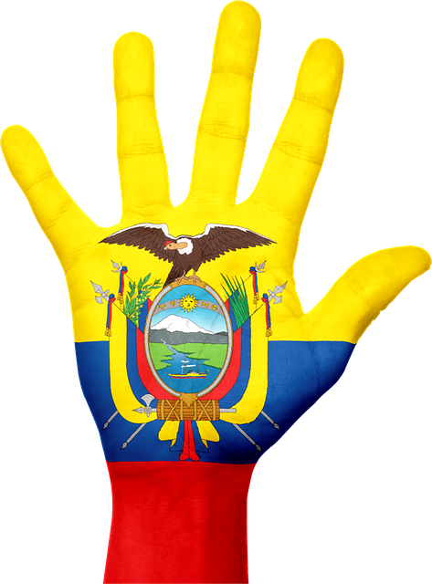 Free ecuador flag hand illustration