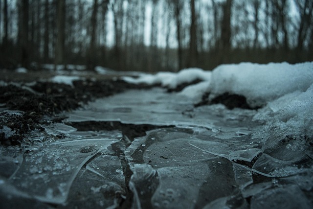 Free Winter Ice photo and picture