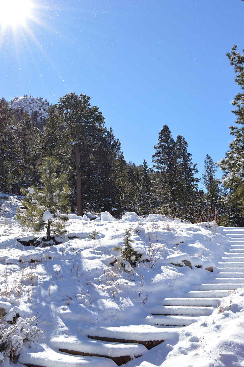 Snow Step Snow Steps Stairs - Free photo on Pixabay - Pixabay
