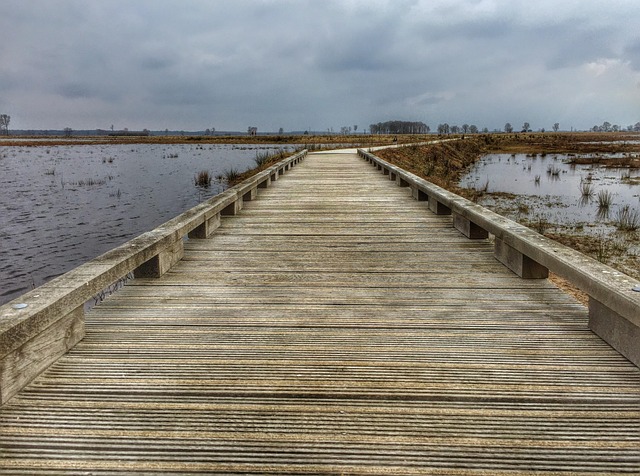 Drenthe, Campo De Fuerza, Agua