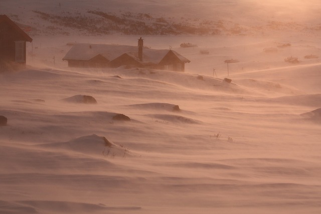 Free Snow Wind photo and picture