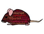 mouse, rodent, totem