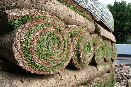 Rasen, Gras, Grün, Gartenarbeit, Rollen