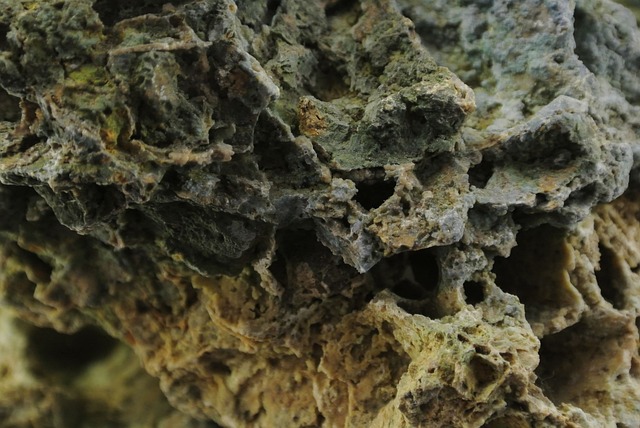 Free Stone Porous photo and picture