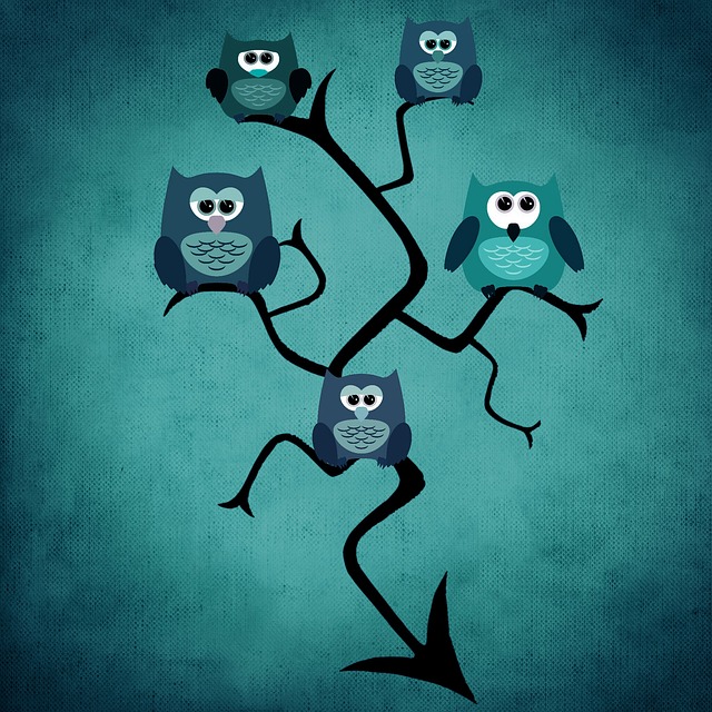 Download free HD stock image of Owl Nature Free owl nature tree illustration