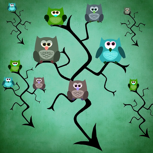 Download free HD stock image of Owl Tree Free owl tree nature illustration