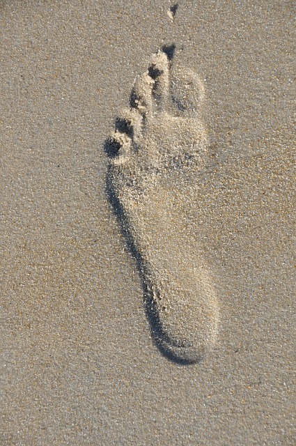 Free Footprint Beach photo and picture