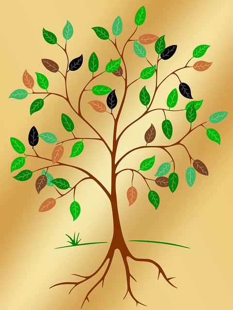 Free tree nature root illustration