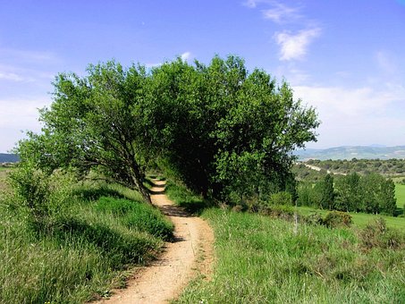 Hohlweg, Sandweg, Schmal, Wandern