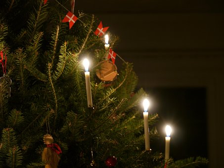 Free Tree Danish photo and picture