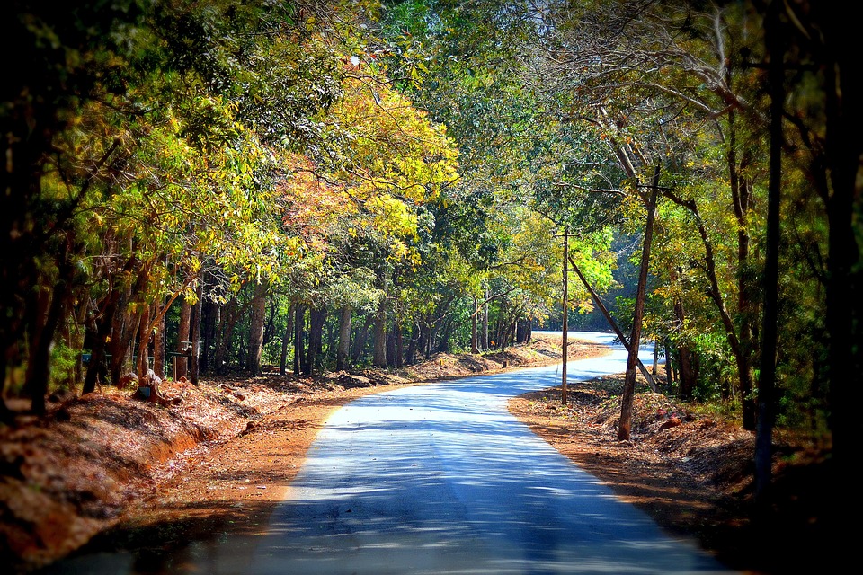 Road Beautiful Nature Free Photo On Pixabay Pixabay