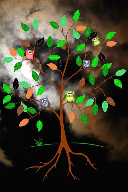 Nachthimmel, Nacht, Baum, Laubbaum