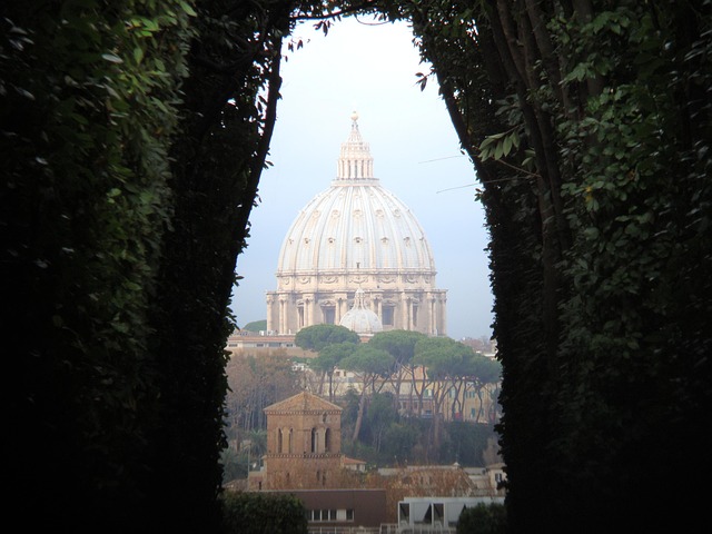 Free Rome Panorama photo and picture
