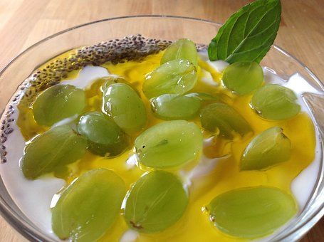 Free Breakfast Yogurt photo and picture