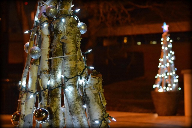 Free Christmas Holiday photo and picture